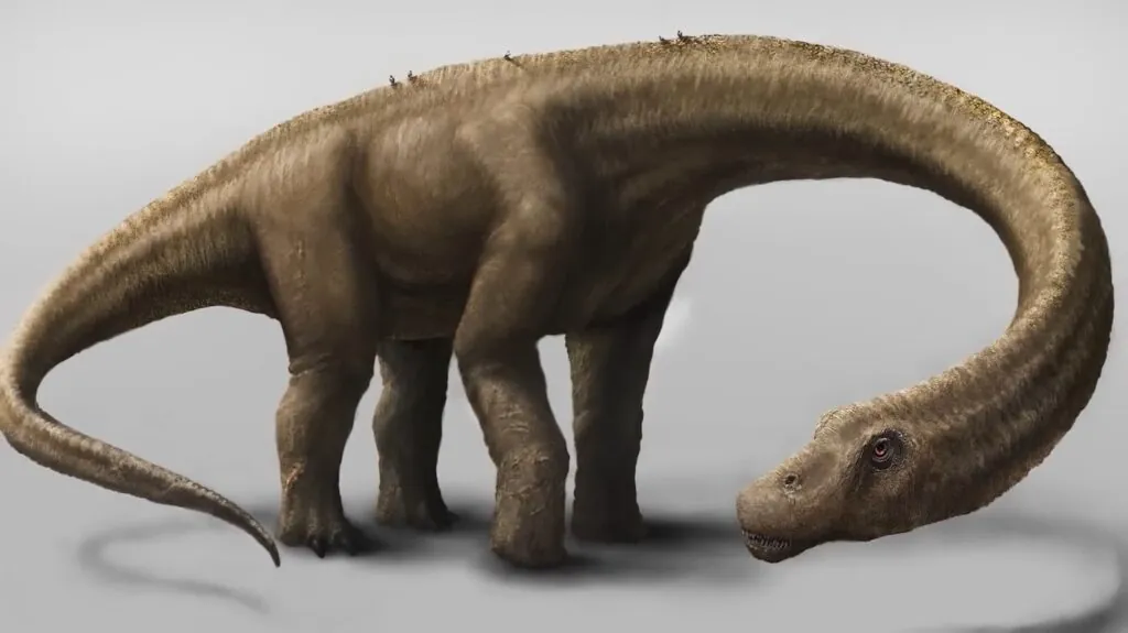 Dreadnoughtus schran